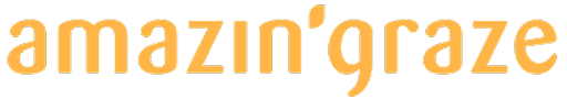 AG brand logo
