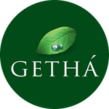 GB brand logo